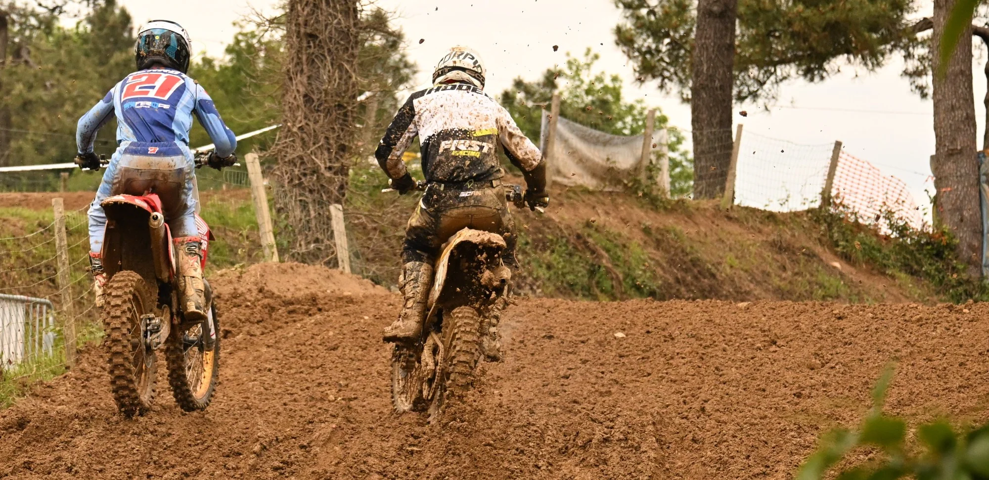 DSC_3137_355.webp