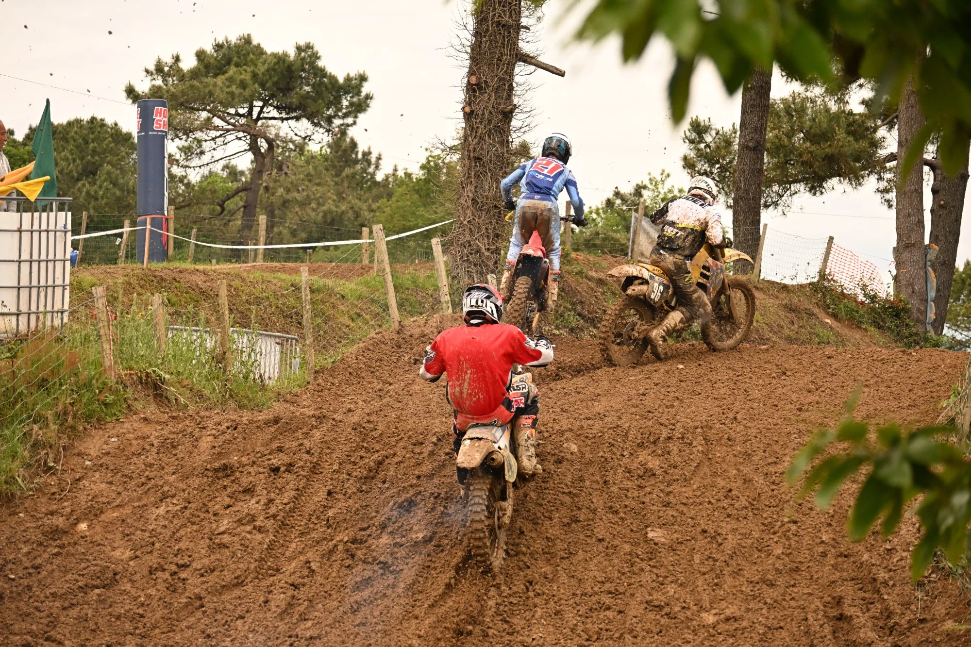 DSC_3139_688.webp