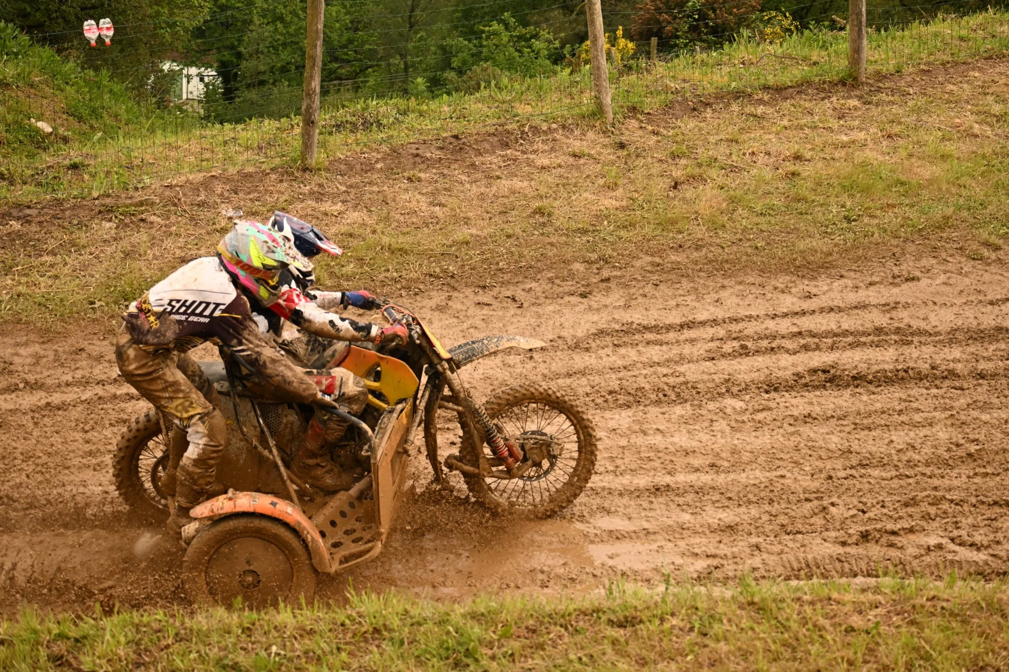 DSC_3143_383.webp