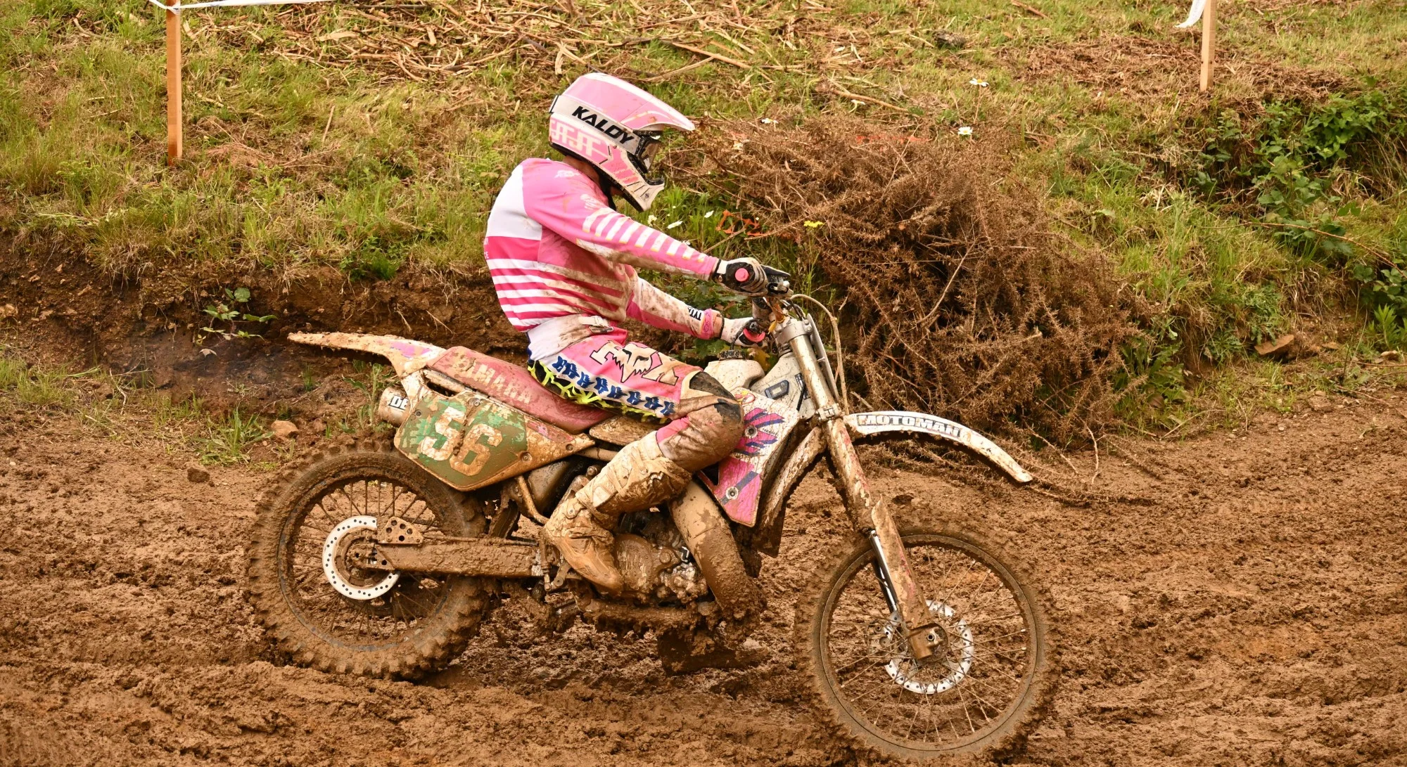 DSC_3154_299.webp