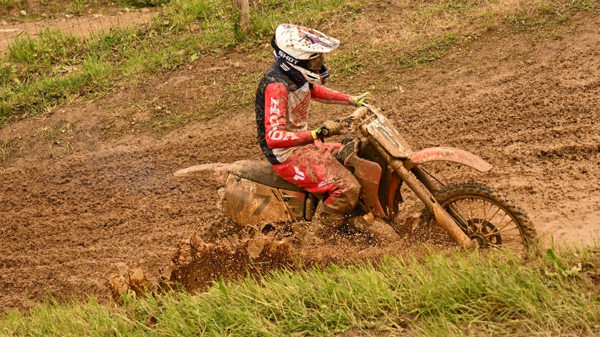DSC_3161_462.webp