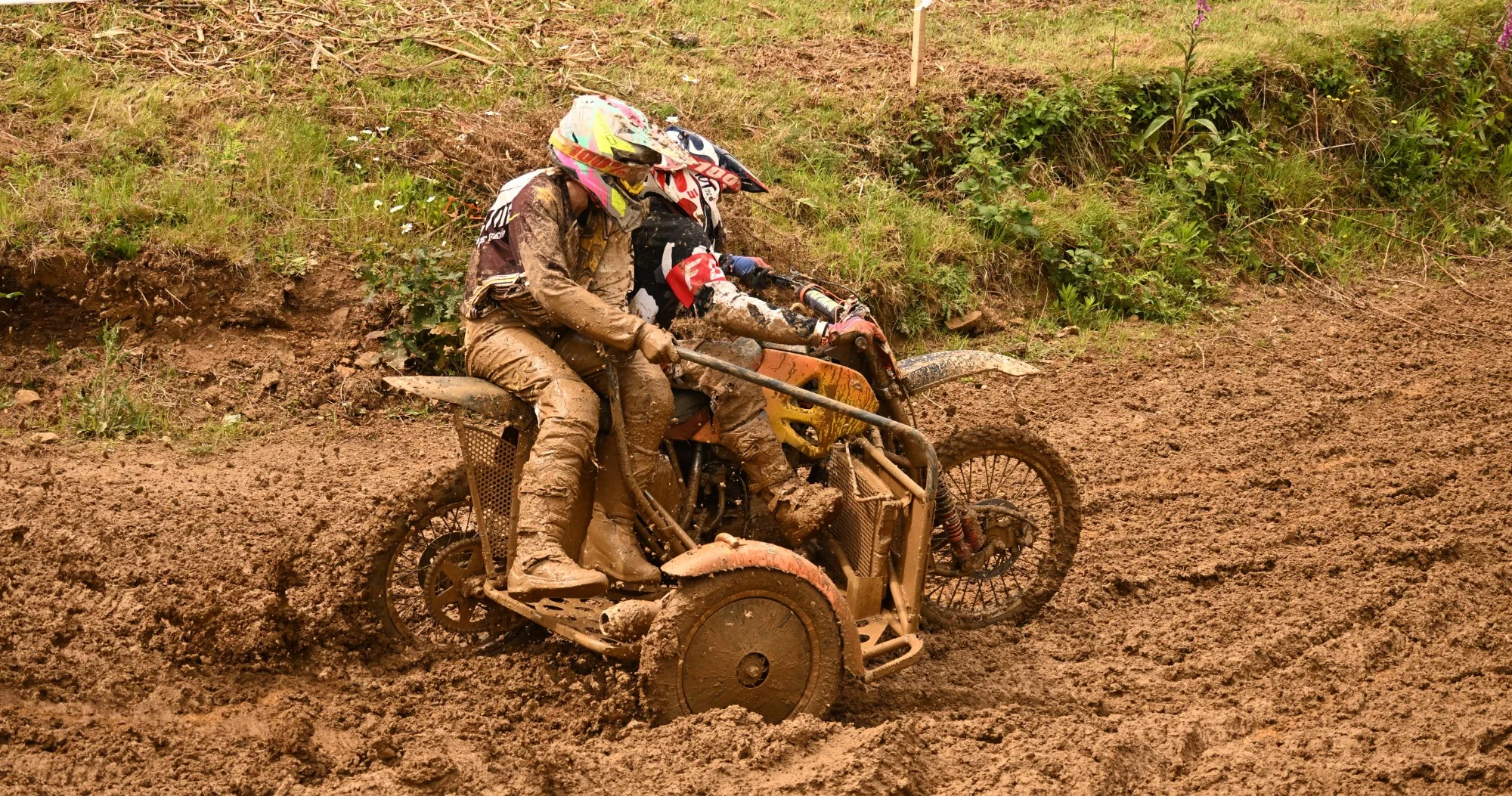 DSC_3175_763.webp