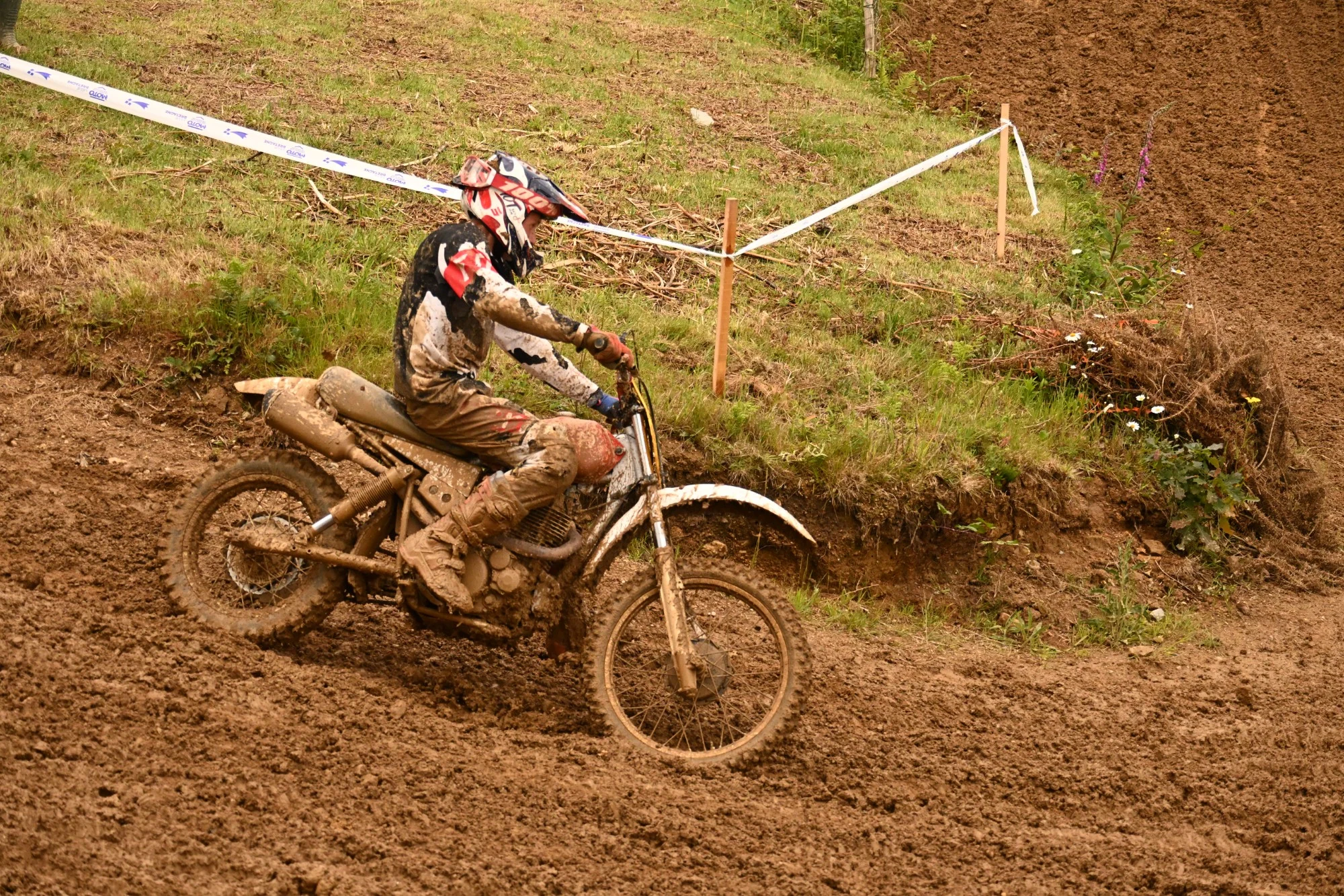 DSC_3191_-_Copie_631.webp