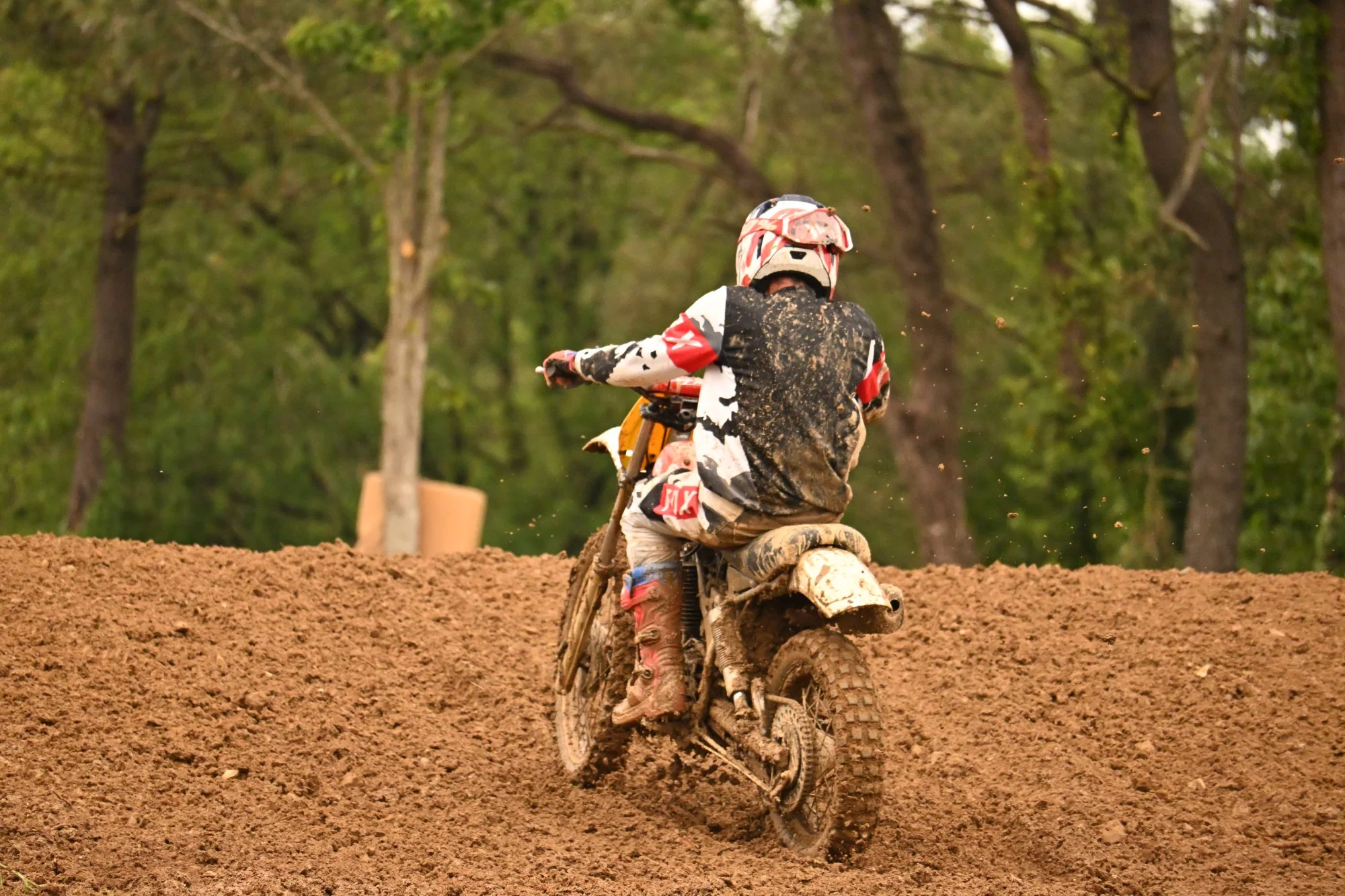 DSC_3193_-_Copie_273.webp