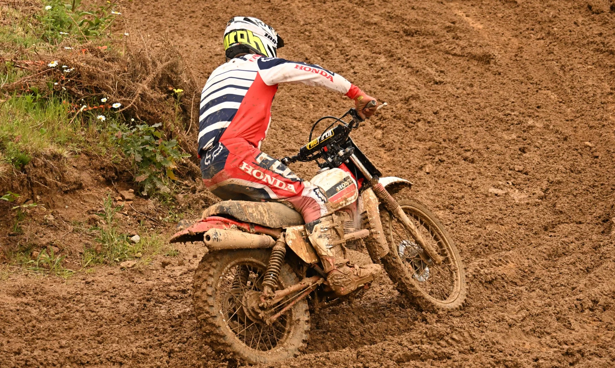 DSC_3212_-_Copie_289.webp