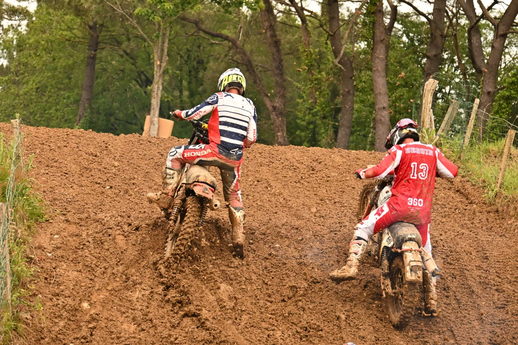 DSC_3219_-_Copie_241.webp