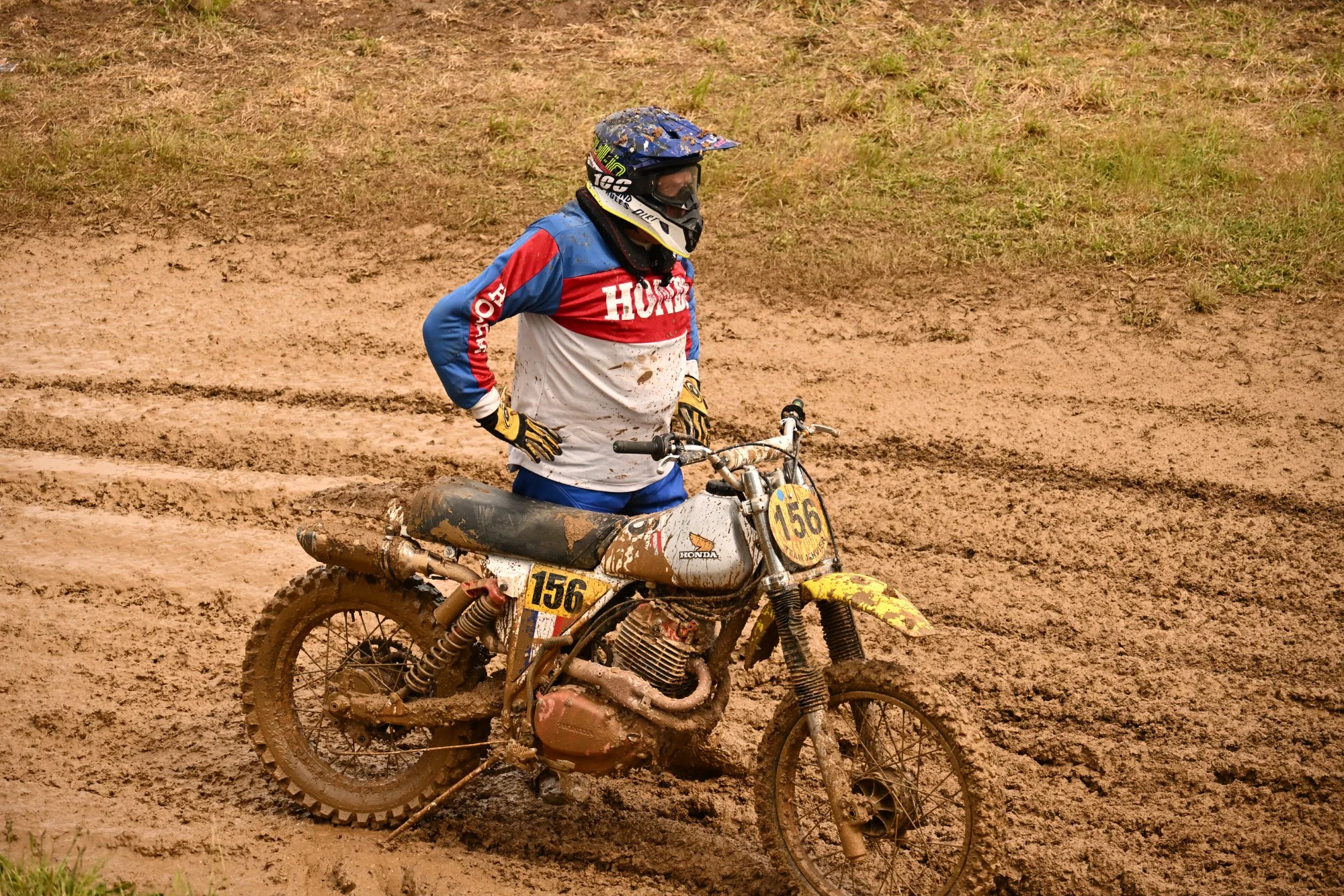 DSC_3221_-_Copie_141.webp