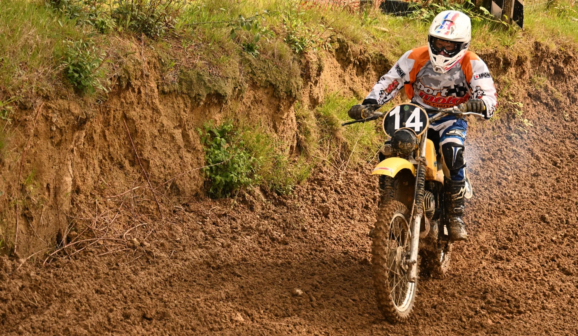 DSC_3245_532.webp