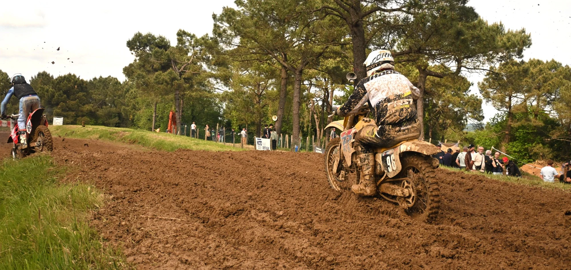 DSC_3315_367.webp