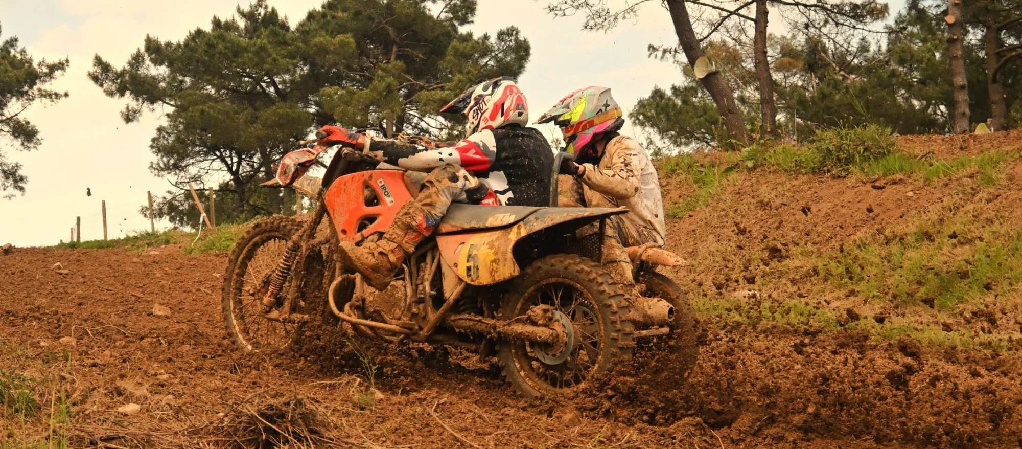 DSC_3352_934.webp