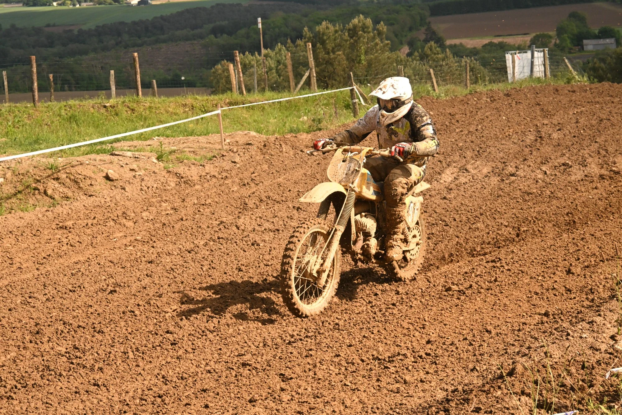 DSC_3363_701.webp