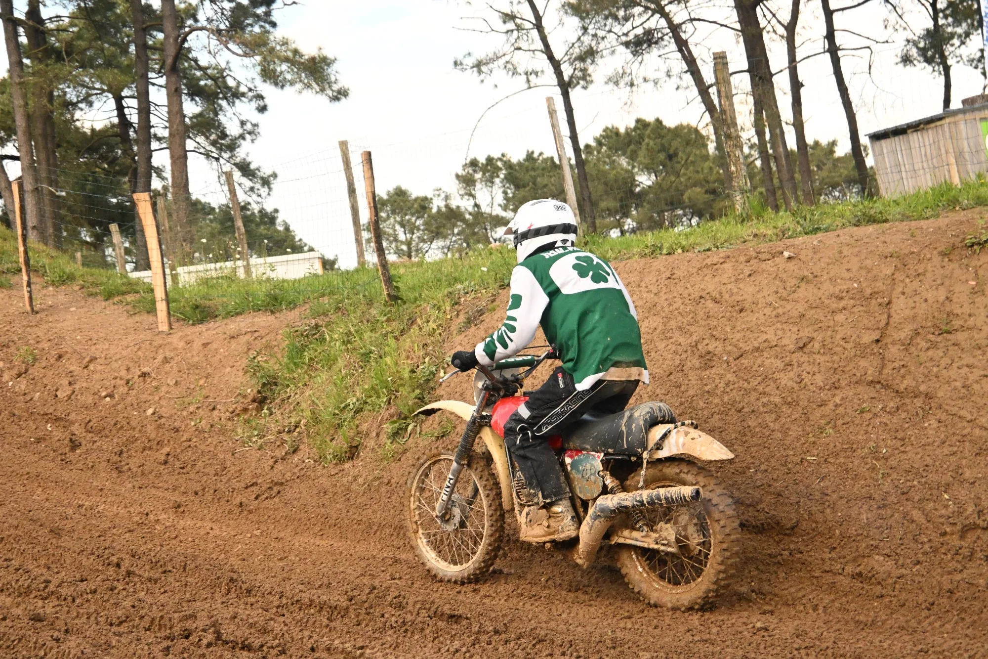DSC_3376_830.webp