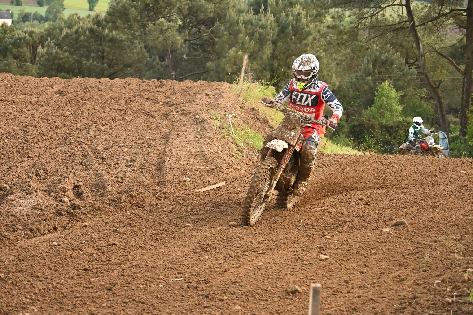 DSC_3391_440.webp