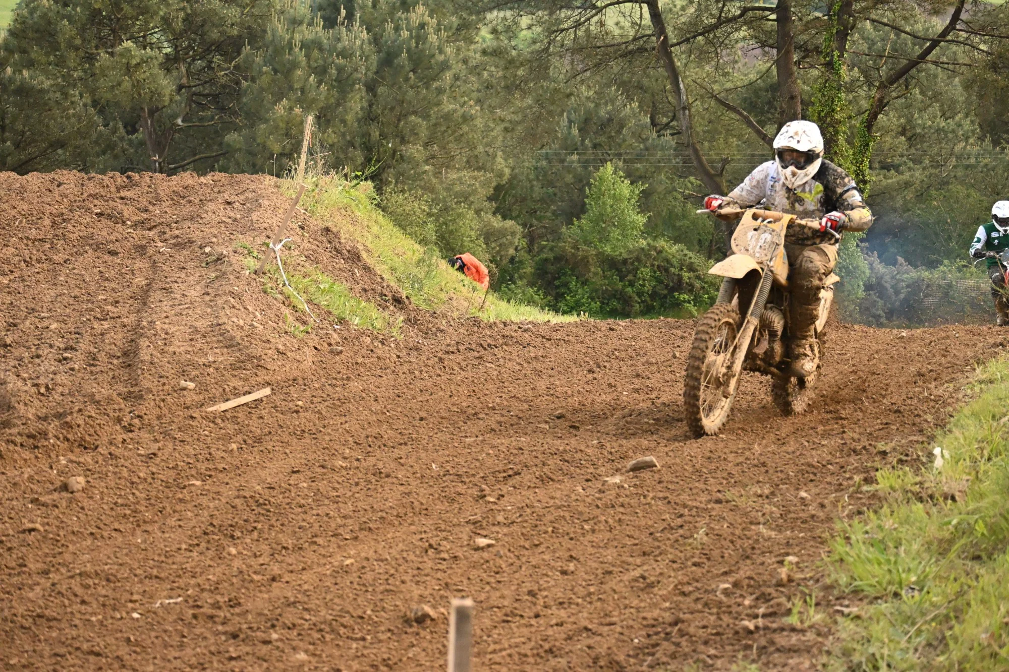 DSC_3392_696.webp