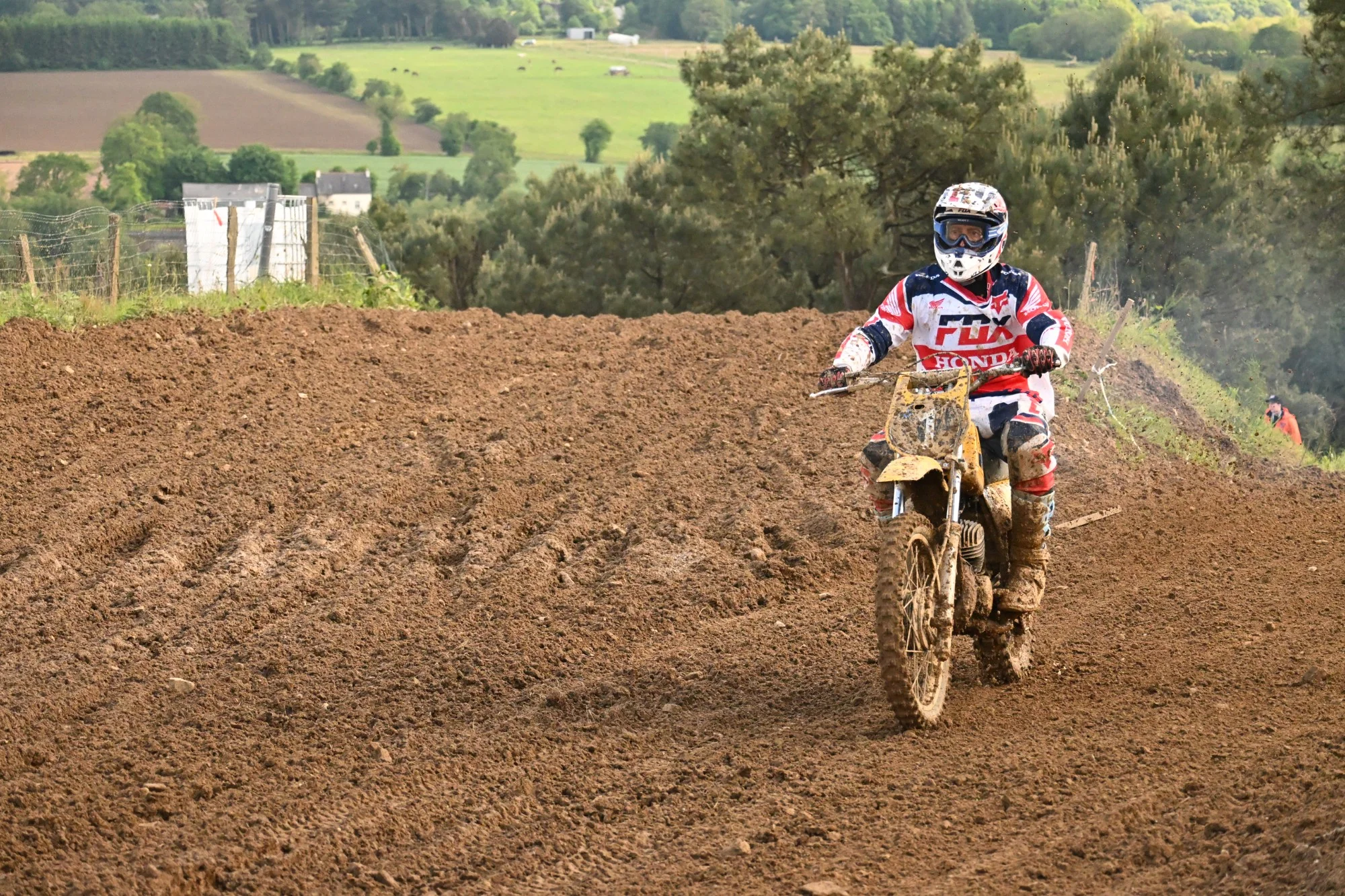 DSC_3397_941.webp