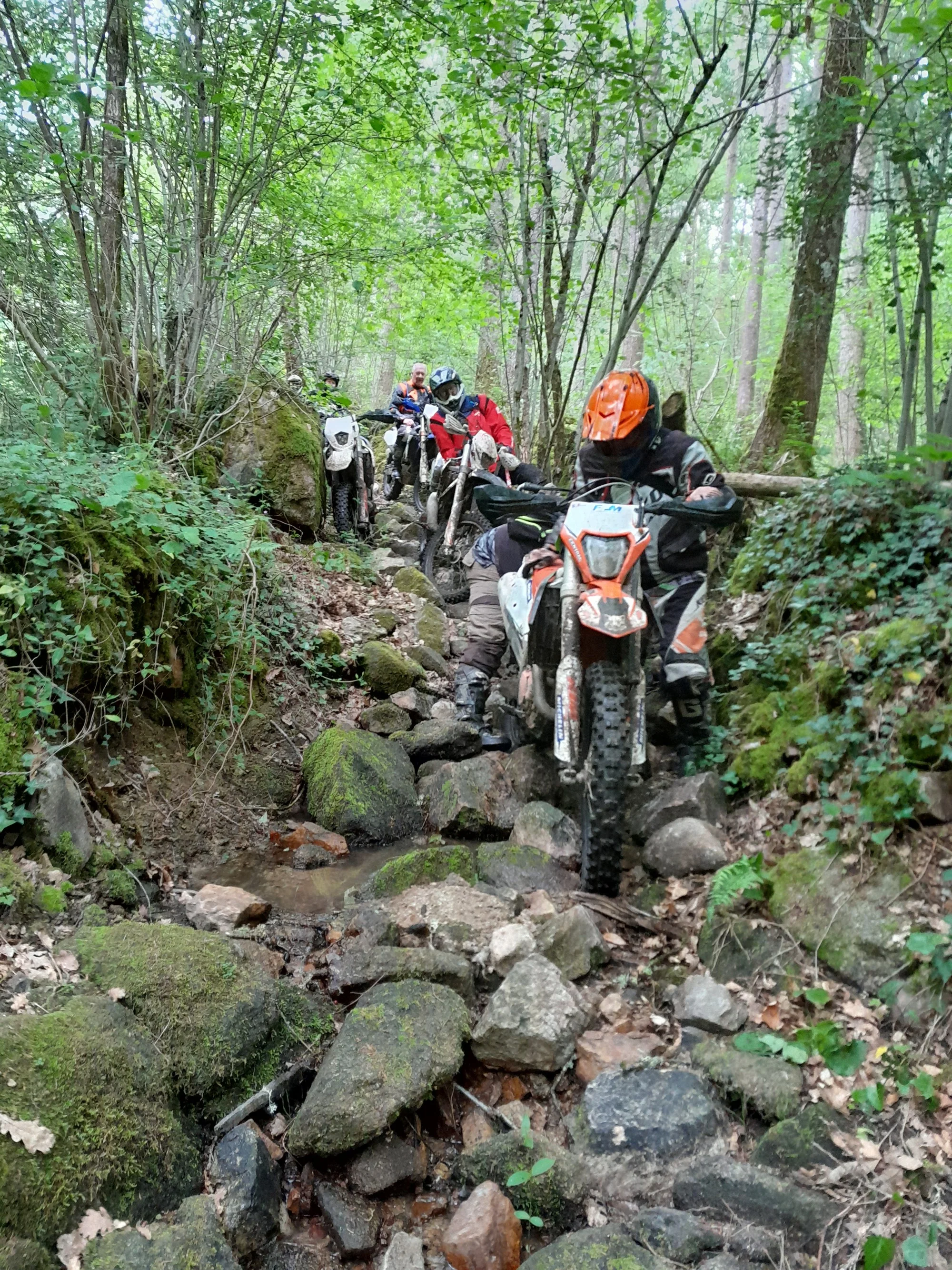20260510_121312_776.webp