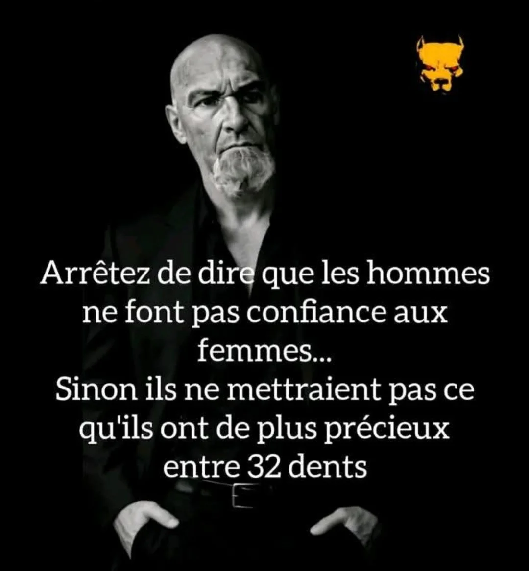 55382_530.webp