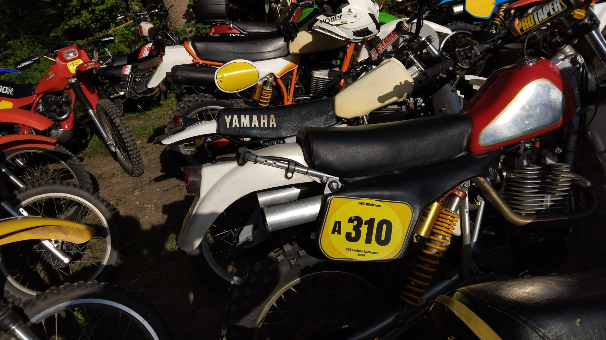 1000012885_739.webp