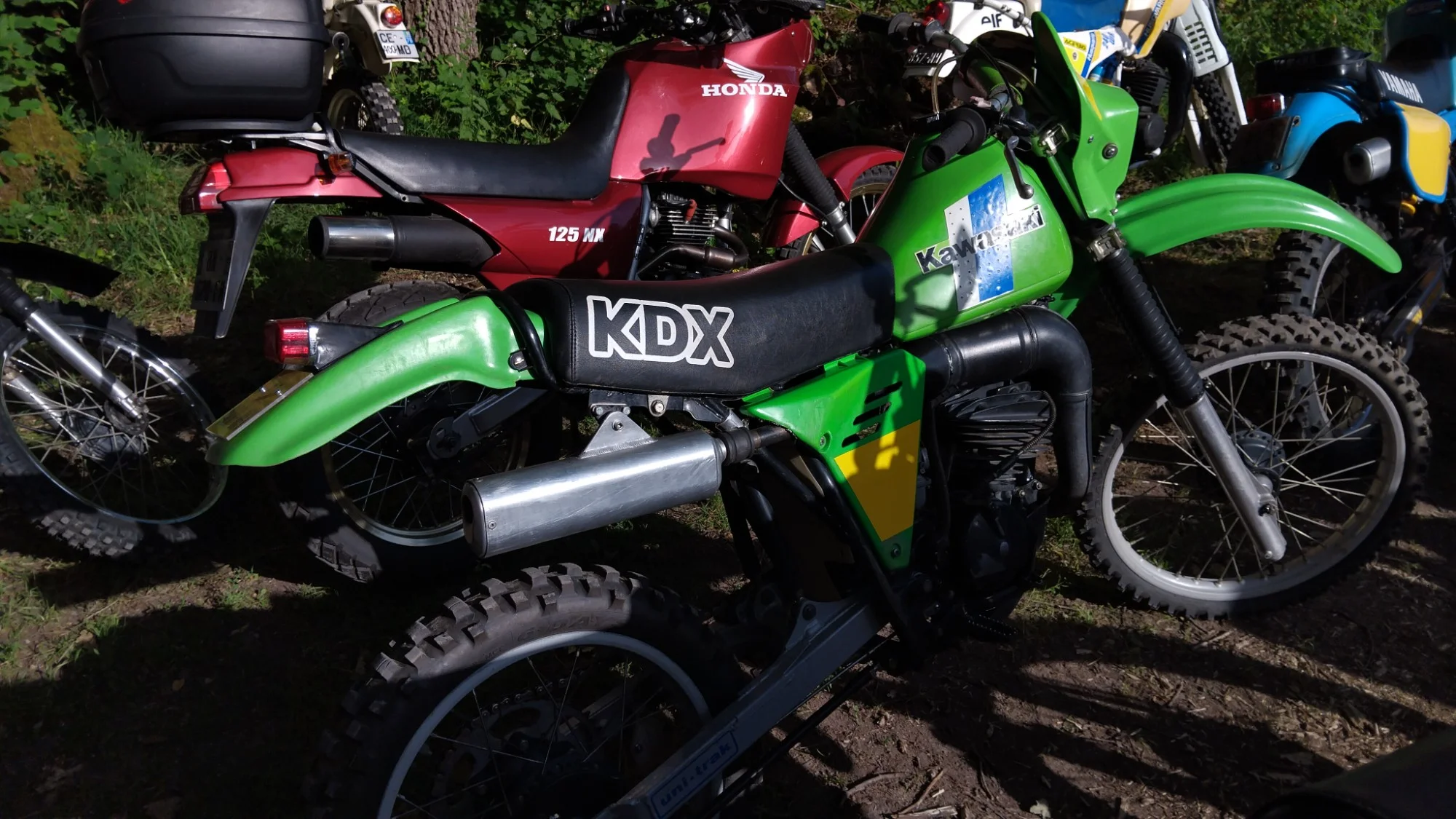 1000012888_630.webp