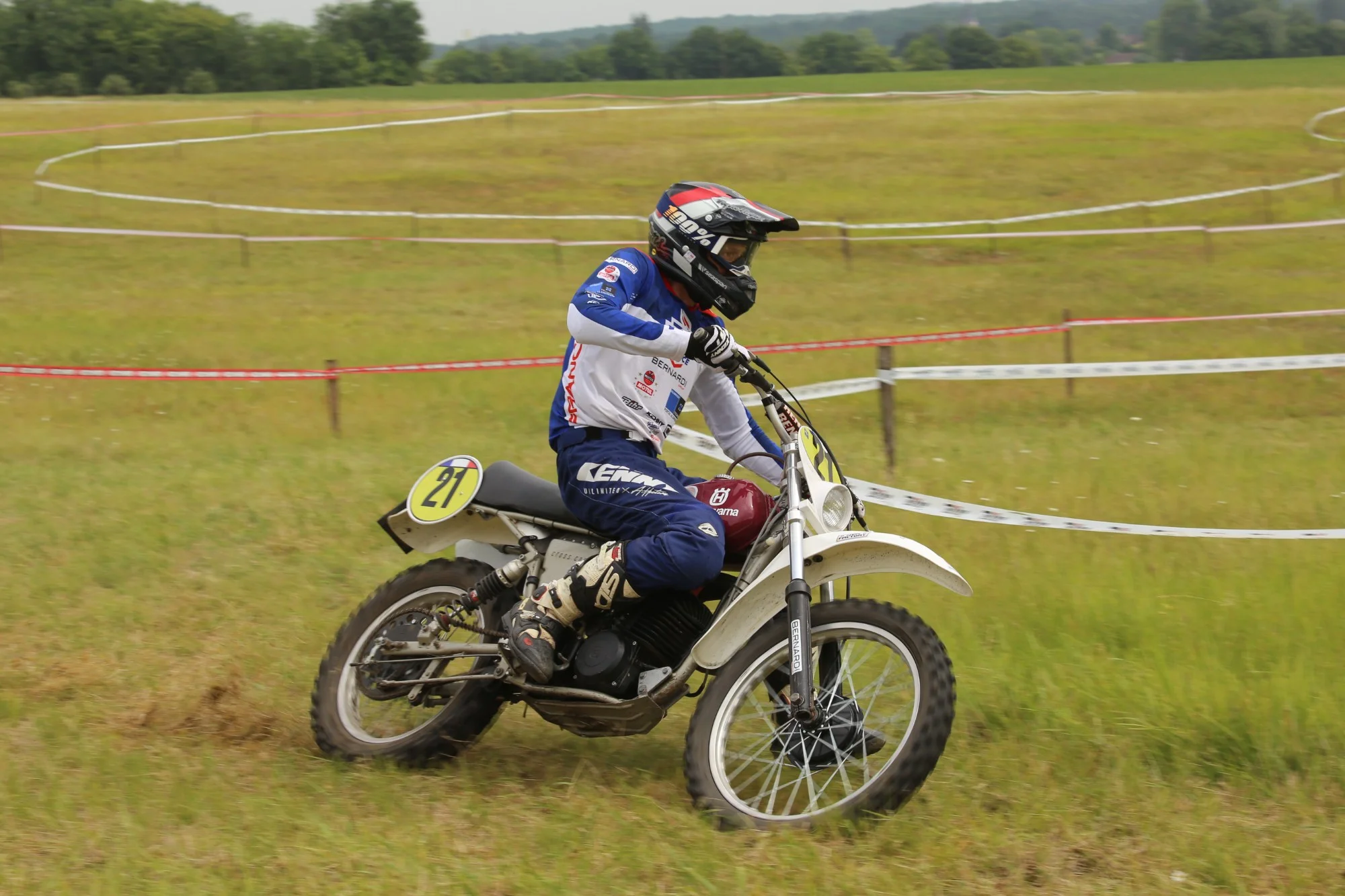 IMG_1446_290.webp