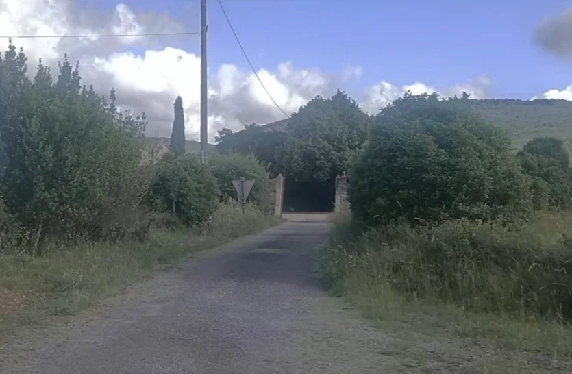 1000066042_141.webp