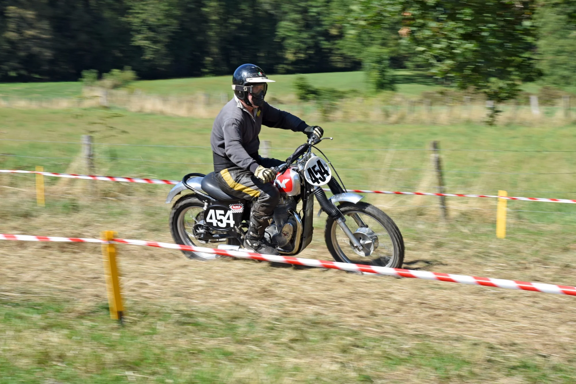 DSC_2699_784.webp