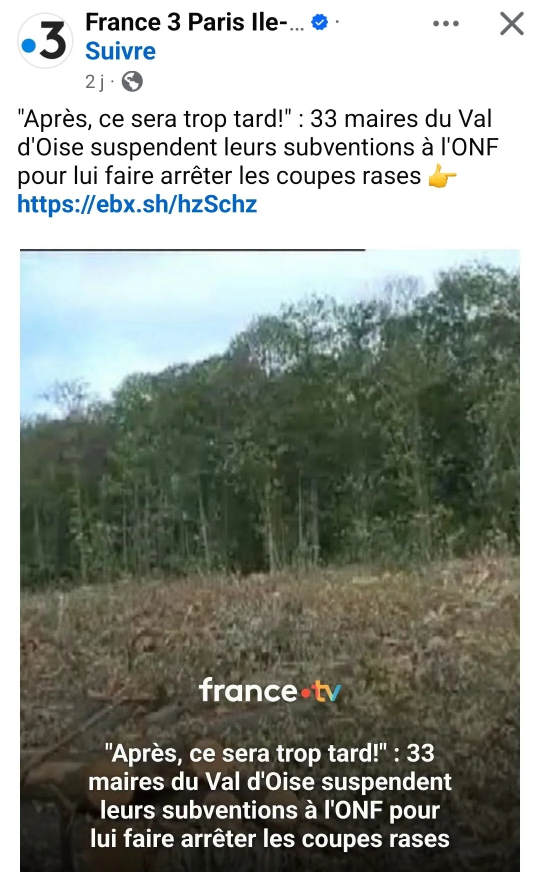 1000011166_730.webp