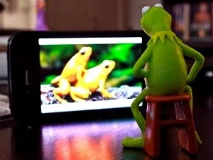Kermit_662.webp