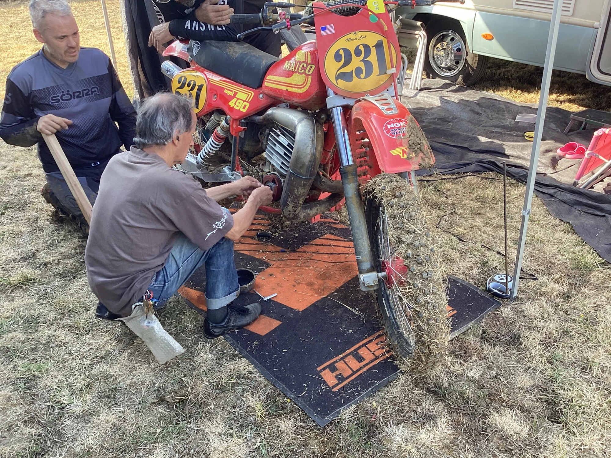 IMG_1352_201.webp