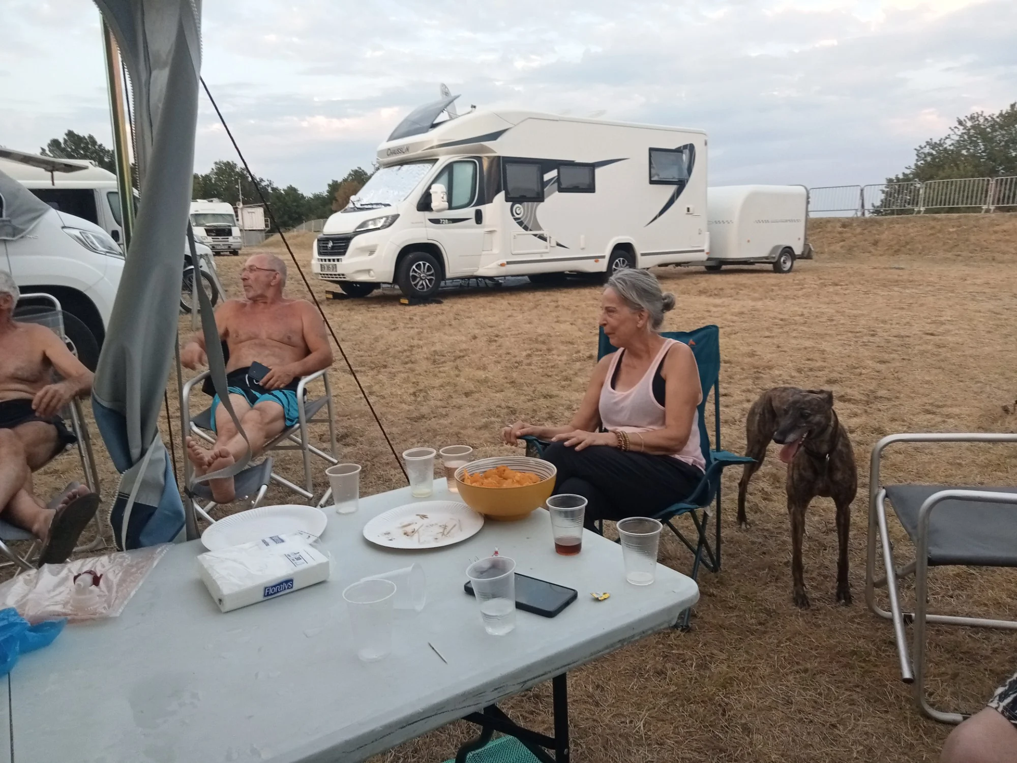 1000007942_633.webp