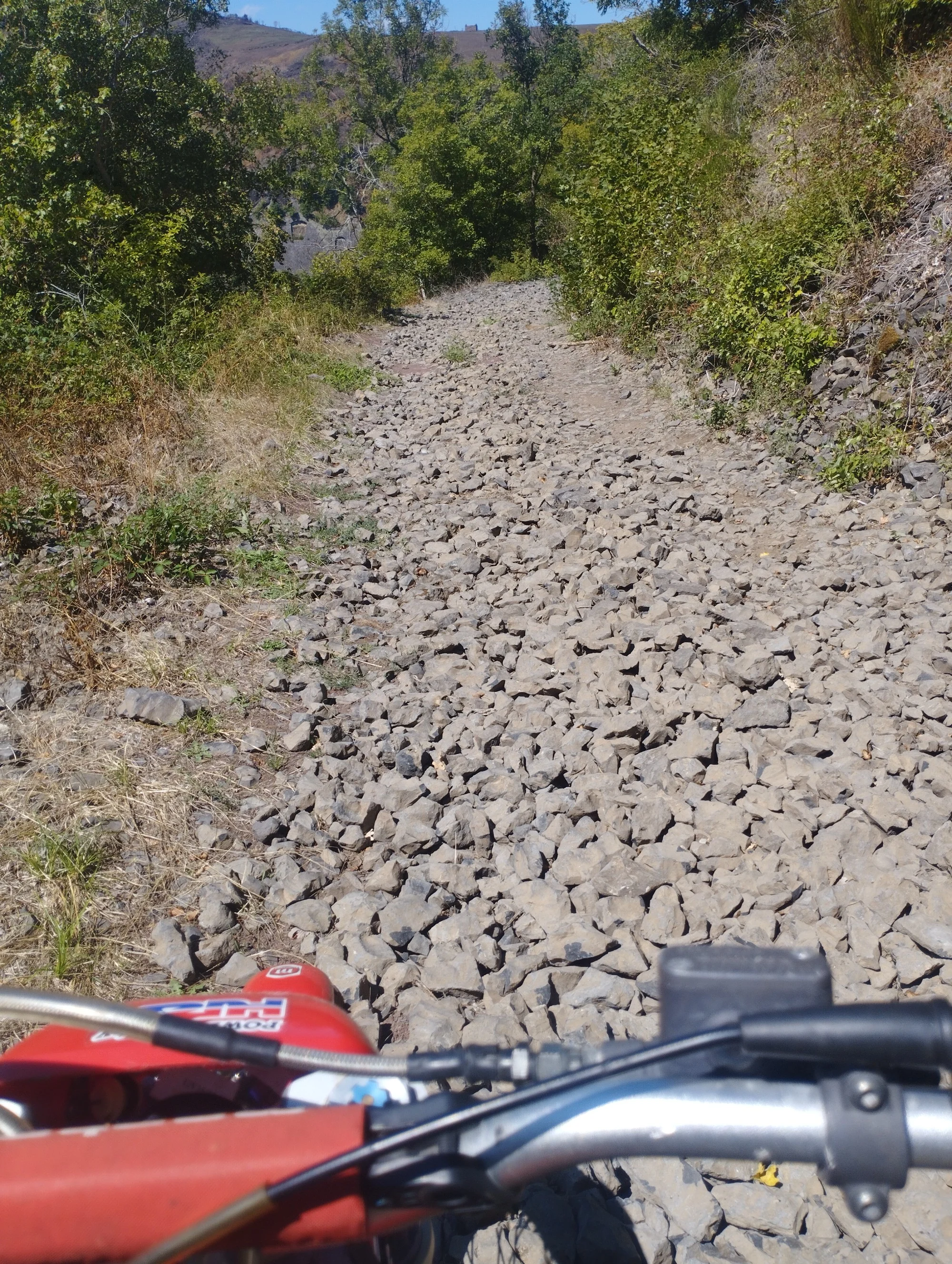 1000010133_640.webp