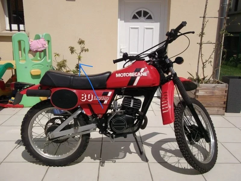 1000011331_472.webp