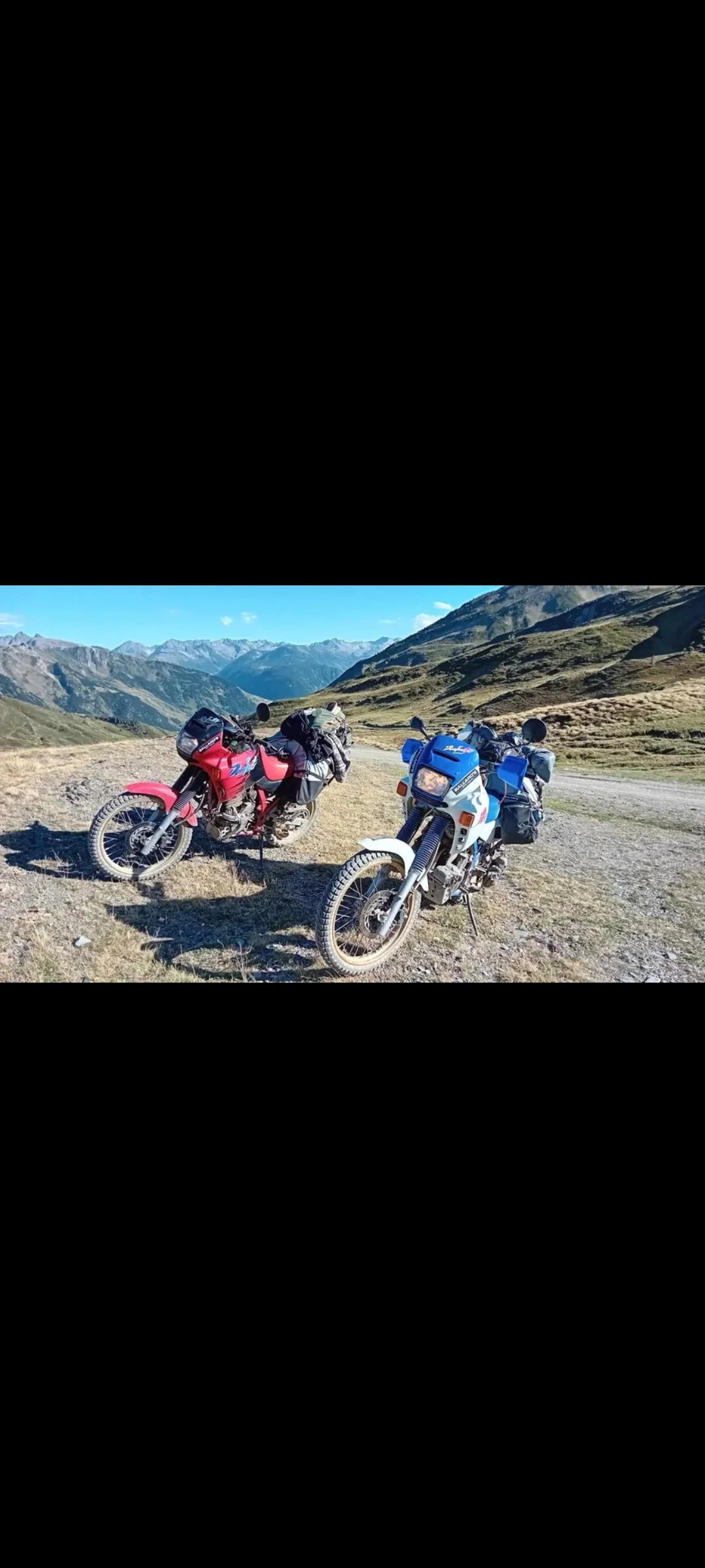 1000025354_102.webp