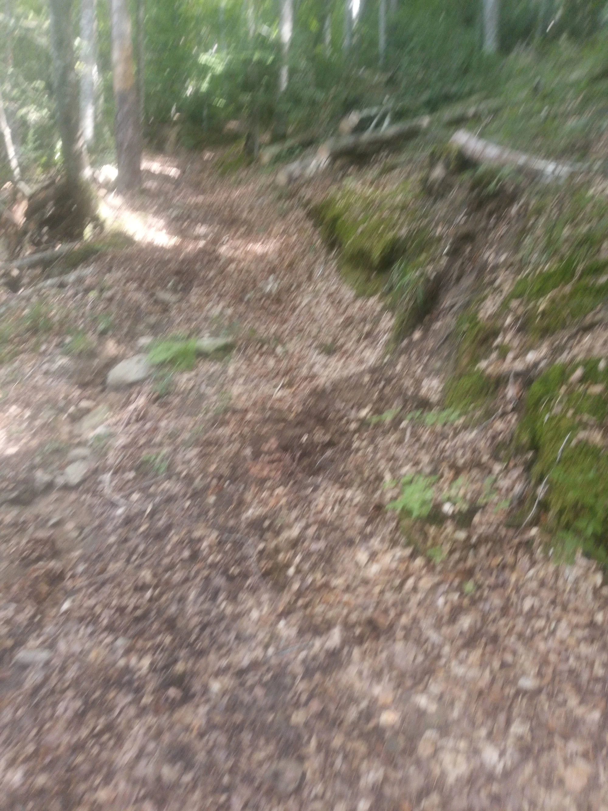 260828_155829472_167.webp