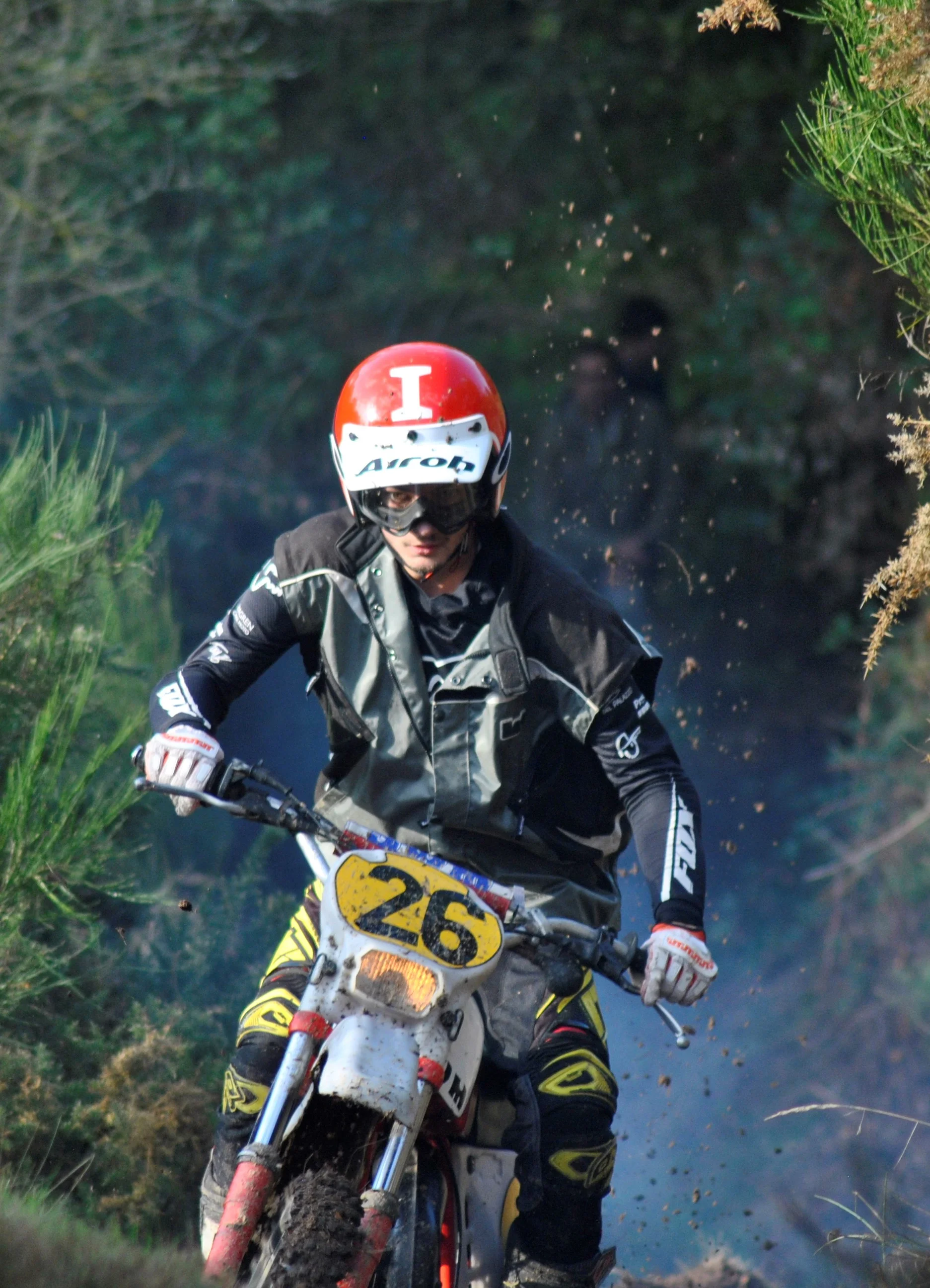 _DSC0174_609.webp
