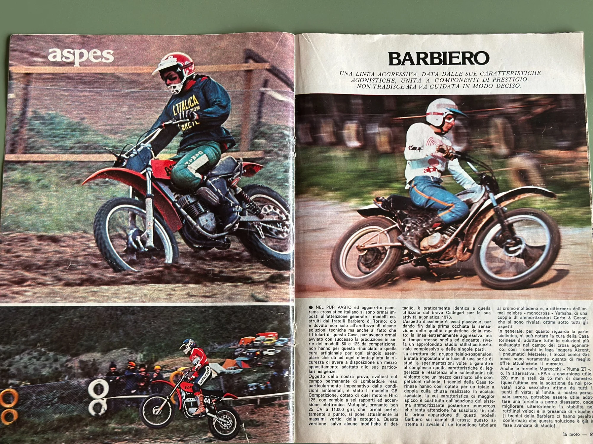 pes_3_Barbiero_1_235.webp