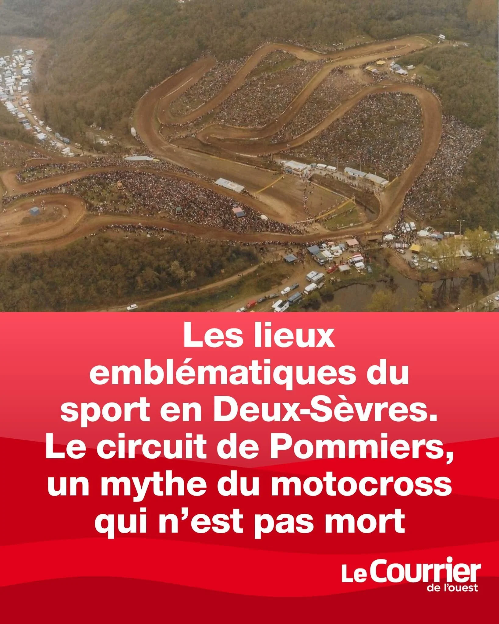 1000043427_735.webp