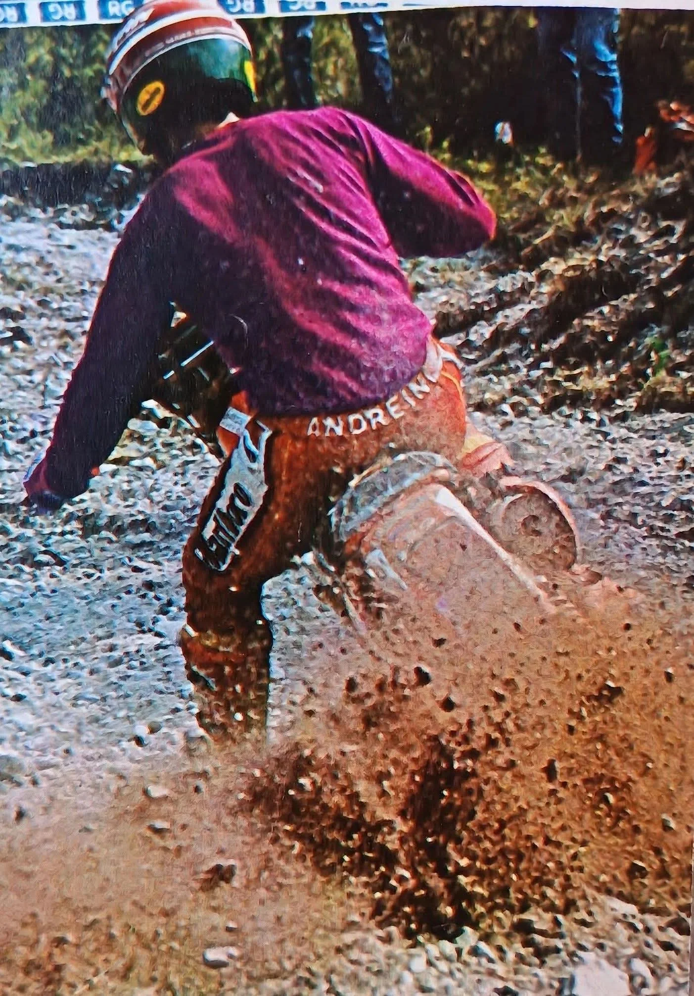 1000043637_535.webp