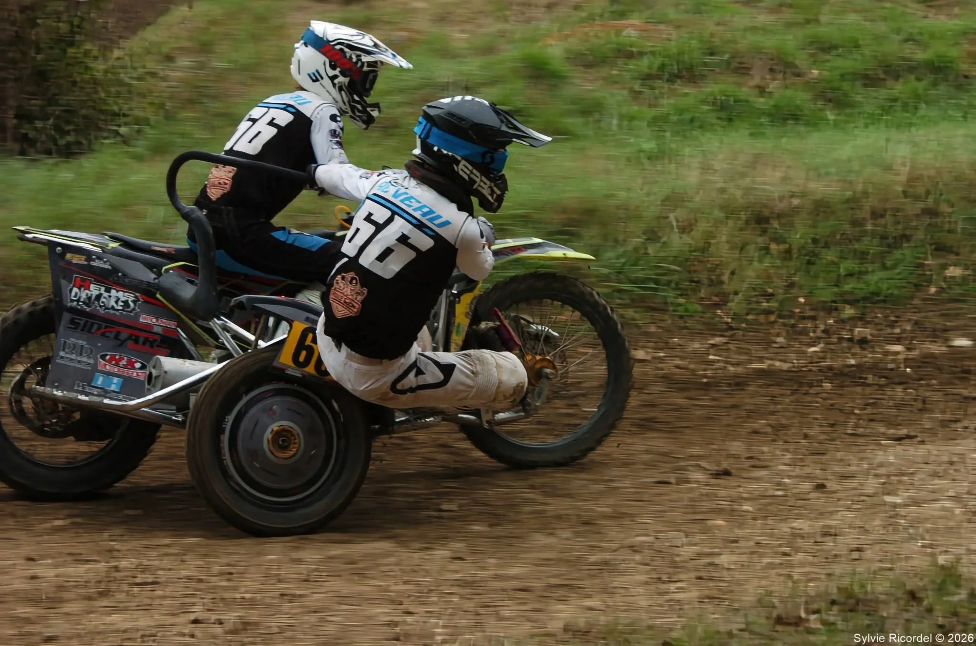 1000043752_979.webp