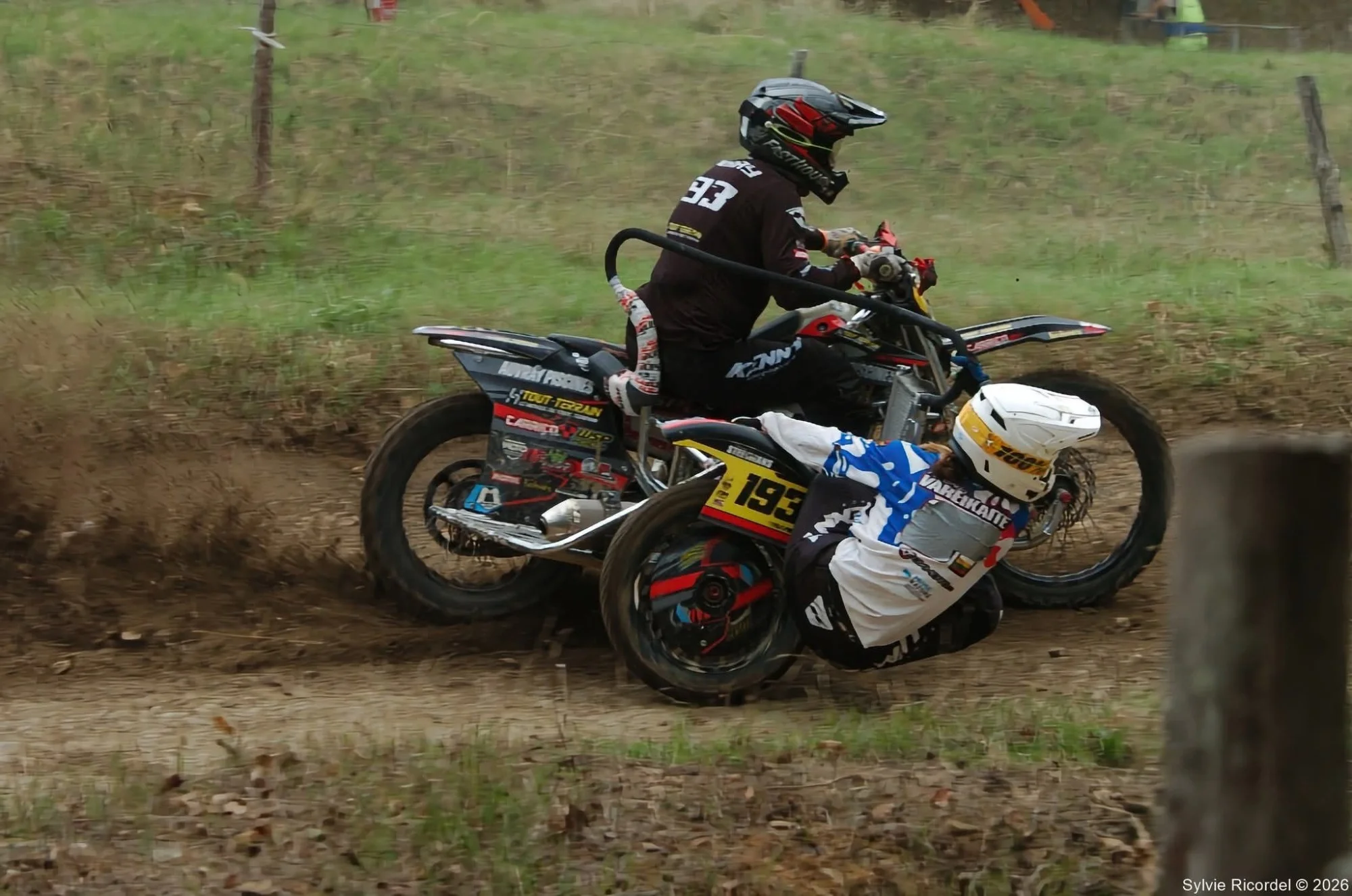 1000043753_313.webp