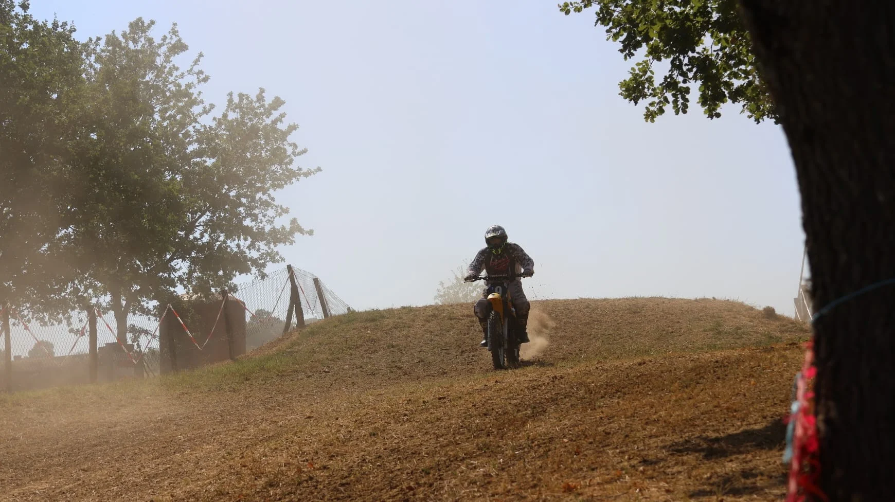 1000083207_136.webp