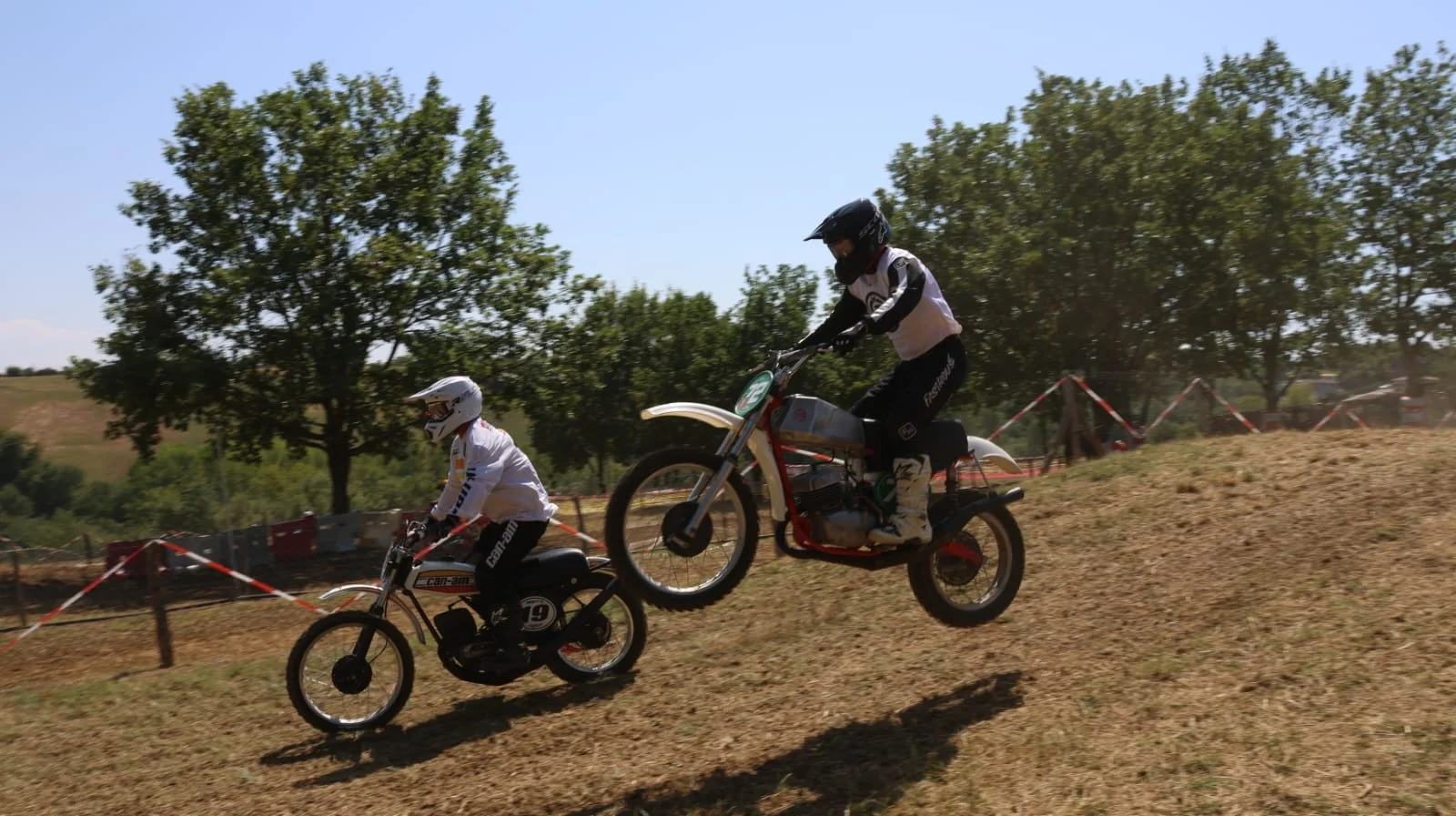 1000083342_546.webp