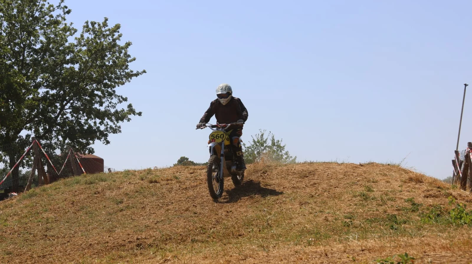 1000083356_375.webp