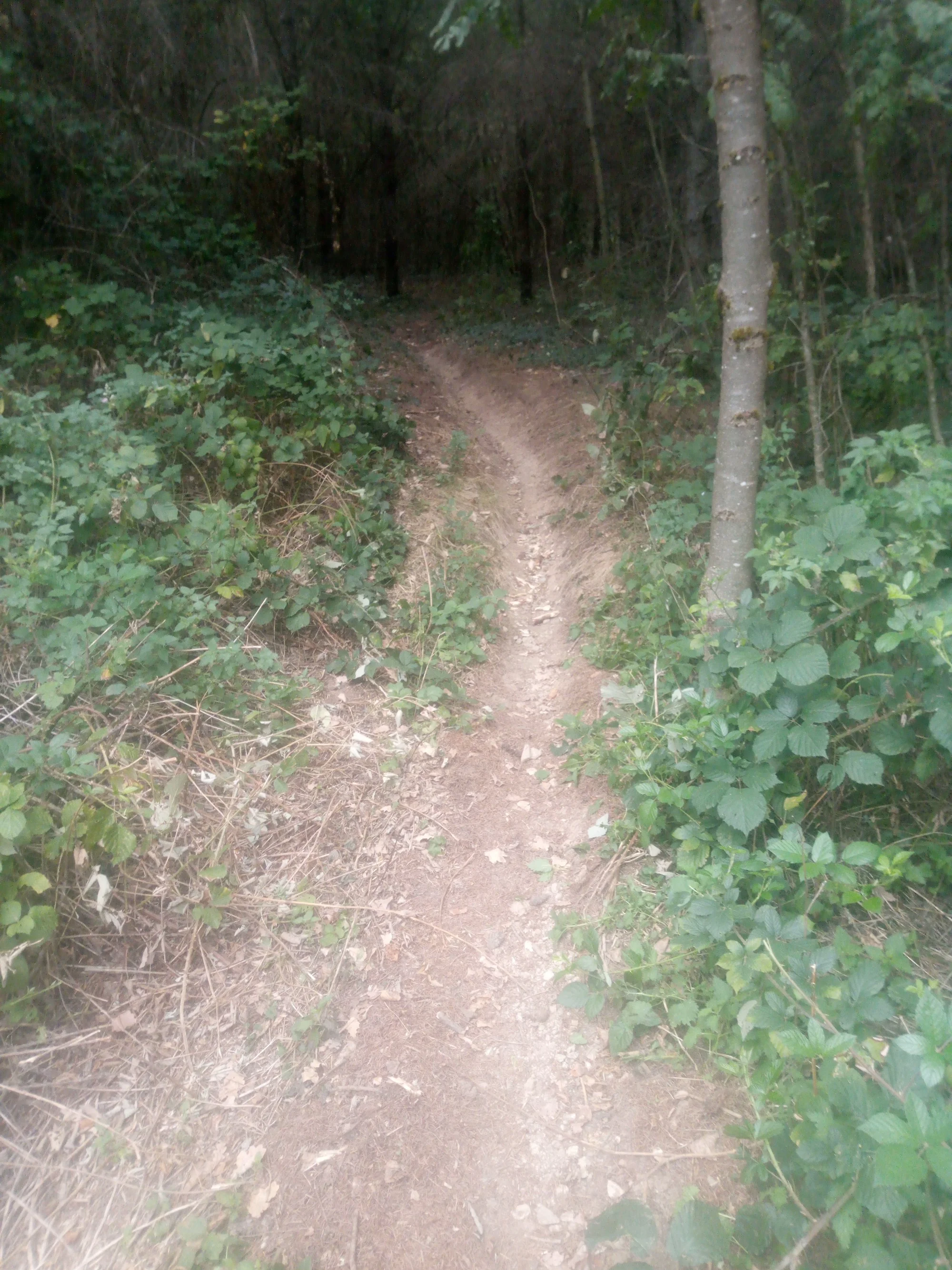 260916_093557460_764.webp