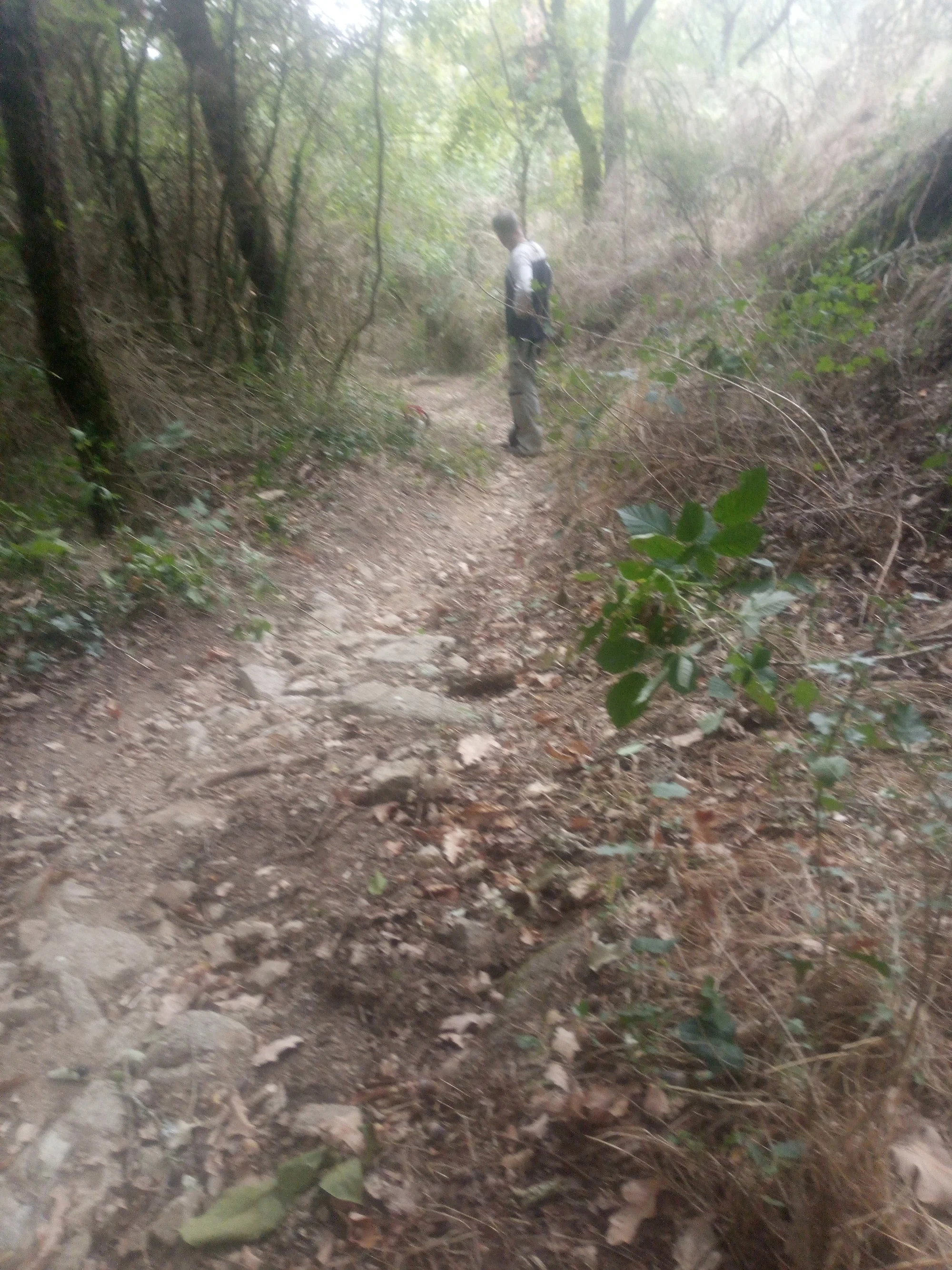 260916_101524145_735.webp