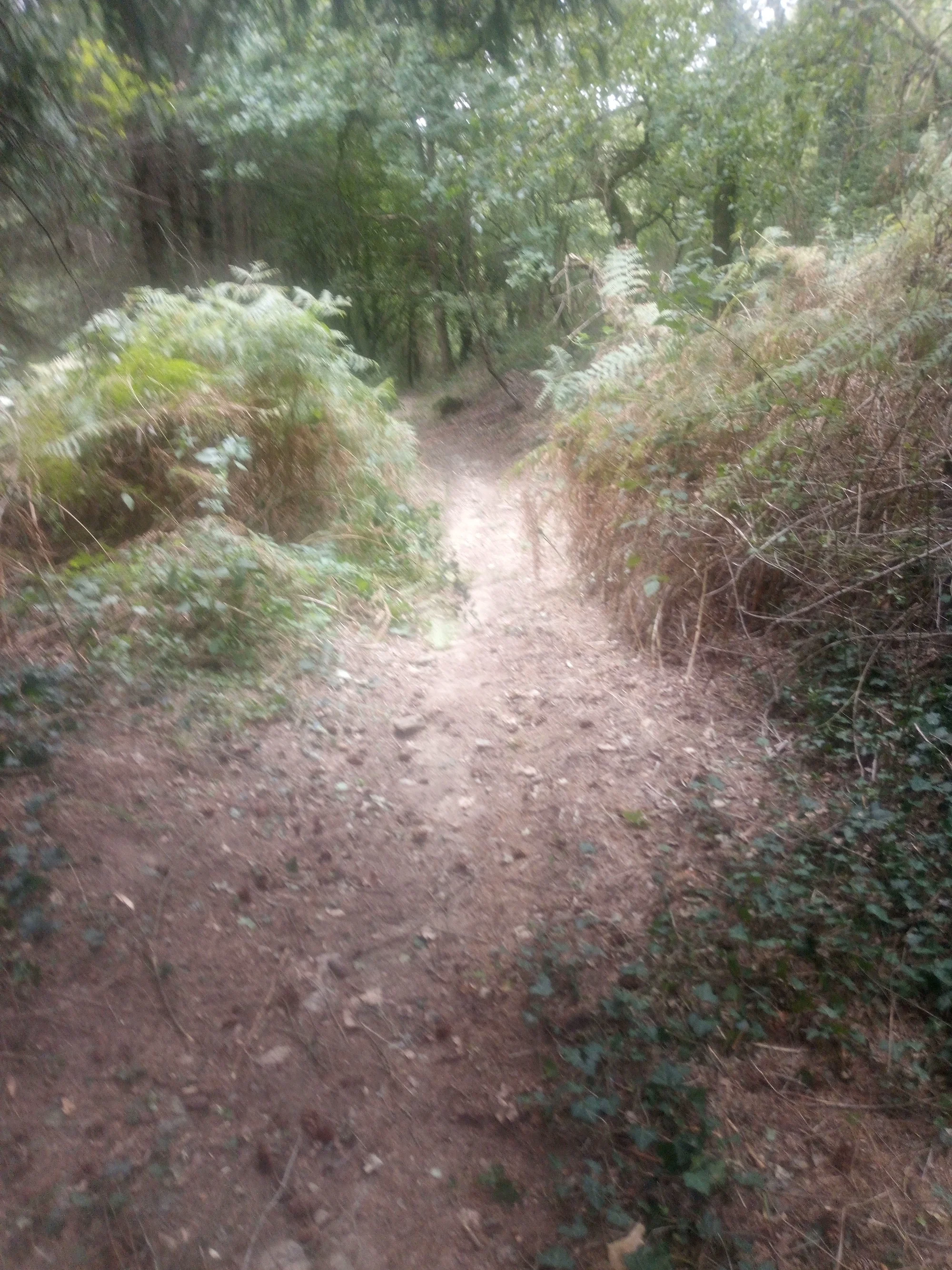 260916_103553037_987.webp