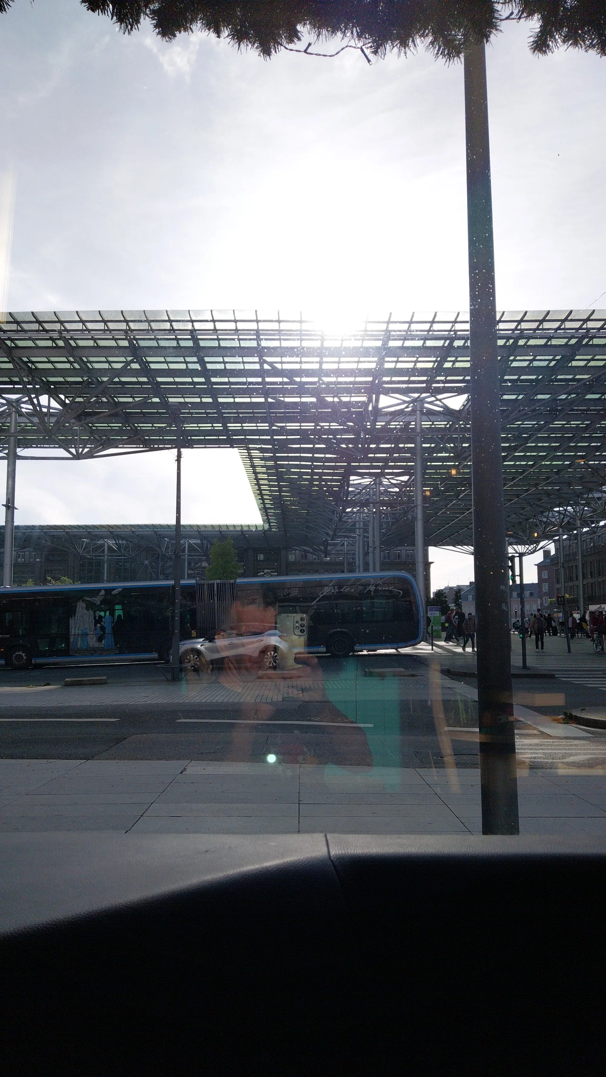 1000043353_375.webp