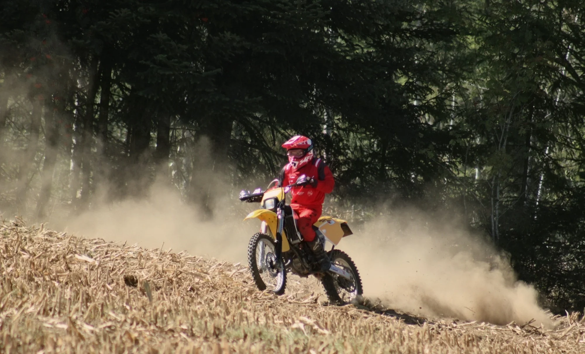 IMG_2439_2_309.webp