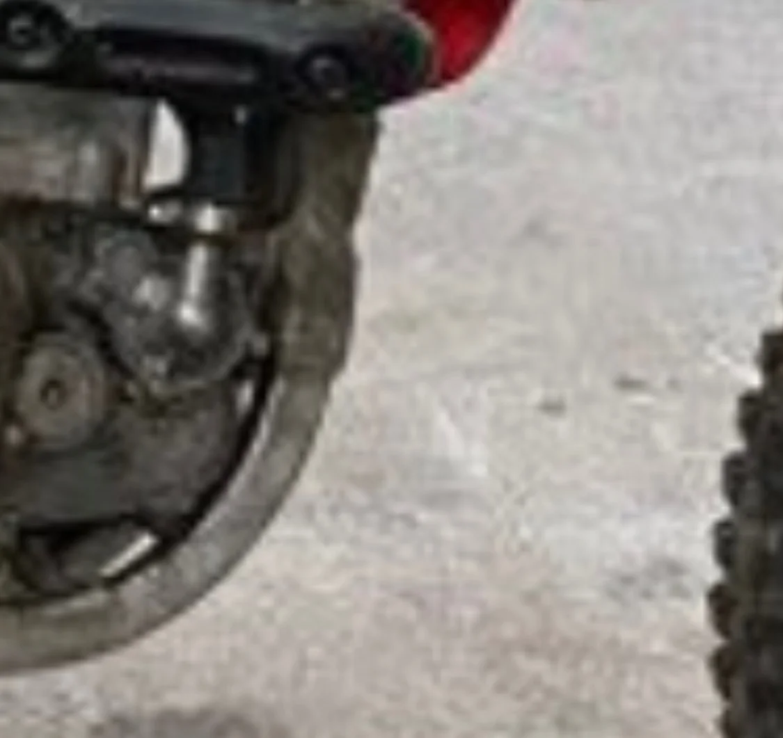 IMG_7393_144.webp