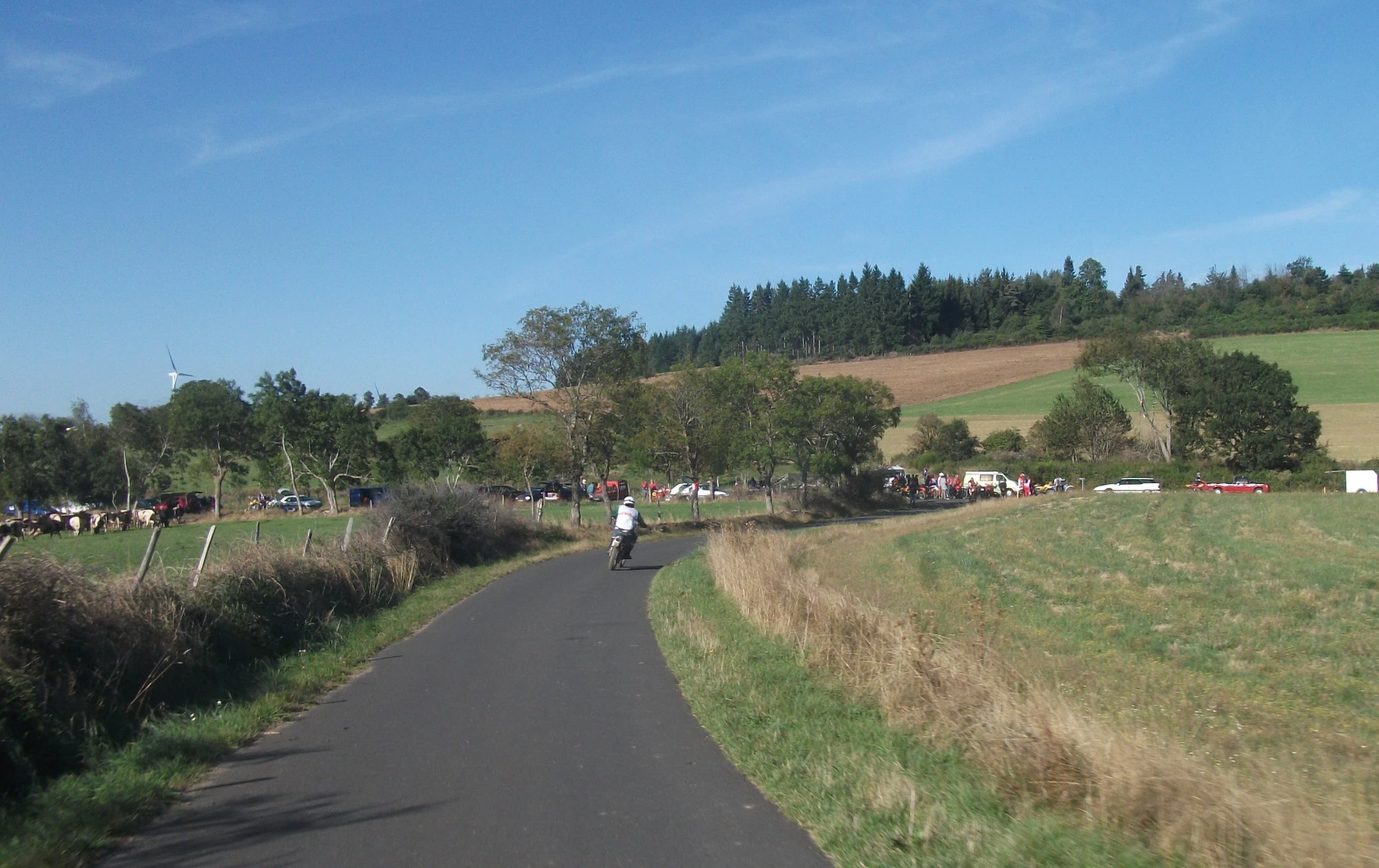 f948fc2e7ec6ec1b4089.webp